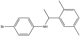 4-bromo-N-[1-(2,5-dimethylphenyl)ethyl]aniline 结构式