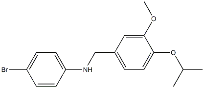 4-bromo-N-{[3-methoxy-4-(propan-2-yloxy)phenyl]methyl}aniline 结构式