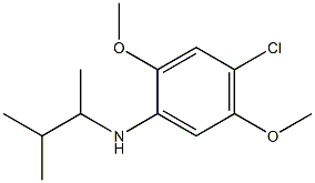 4-chloro-2,5-dimethoxy-N-(3-methylbutan-2-yl)aniline 结构式