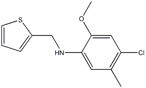 4-chloro-2-methoxy-5-methyl-N-(thiophen-2-ylmethyl)aniline 结构式