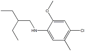 4-chloro-N-(2-ethylbutyl)-2-methoxy-5-methylaniline 结构式