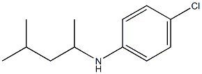 4-chloro-N-(4-methylpentan-2-yl)aniline 结构式