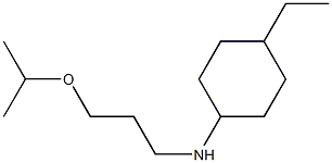 4-ethyl-N-[3-(propan-2-yloxy)propyl]cyclohexan-1-amine 结构式