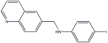 4-iodo-N-(quinolin-6-ylmethyl)aniline 结构式