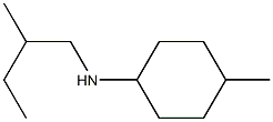 4-methyl-N-(2-methylbutyl)cyclohexan-1-amine 结构式