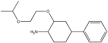 4-phenyl-2-[2-(propan-2-yloxy)ethoxy]cyclohexan-1-amine 结构式