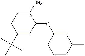 4-tert-butyl-2-[(3-methylcyclohexyl)oxy]cyclohexan-1-amine 结构式