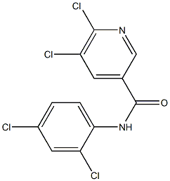 5,6-dichloro-N-(2,4-dichlorophenyl)pyridine-3-carboxamide 结构式