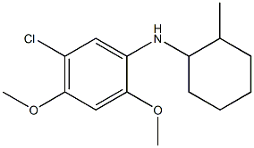 5-chloro-2,4-dimethoxy-N-(2-methylcyclohexyl)aniline 结构式