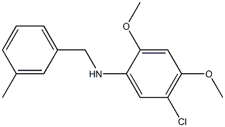 5-chloro-2,4-dimethoxy-N-[(3-methylphenyl)methyl]aniline 结构式