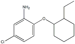 5-chloro-2-[(2-ethylcyclohexyl)oxy]aniline 结构式