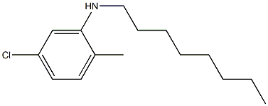 5-chloro-2-methyl-N-octylaniline 结构式
