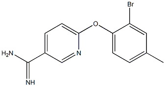 6-(2-bromo-4-methylphenoxy)pyridine-3-carboximidamide 结构式