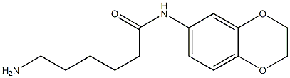 6-amino-N-2,3-dihydro-1,4-benzodioxin-6-ylhexanamide 结构式