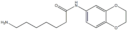 7-amino-N-2,3-dihydro-1,4-benzodioxin-6-ylheptanamide 结构式