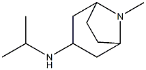 8-methyl-N-(propan-2-yl)-8-azabicyclo[3.2.1]octan-3-amine 结构式