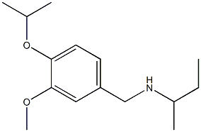 butan-2-yl({[3-methoxy-4-(propan-2-yloxy)phenyl]methyl})amine 结构式