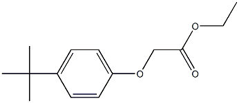 ethyl 2-(4-tert-butylphenoxy)acetate 结构式