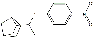 N-(1-{bicyclo[2.2.1]heptan-2-yl}ethyl)-4-nitroaniline 结构式