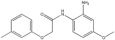 N-(2-amino-4-methoxyphenyl)-2-(3-methylphenoxy)acetamide 结构式