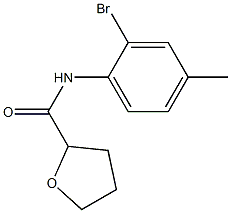 N-(2-bromo-4-methylphenyl)tetrahydrofuran-2-carboxamide 结构式
