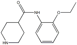 N-(2-ethoxyphenyl)piperidine-4-carboxamide 结构式