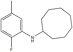 N-(2-fluoro-5-methylphenyl)cyclooctanamine 结构式