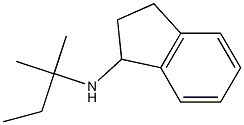 N-(2-methylbutan-2-yl)-2,3-dihydro-1H-inden-1-amine 结构式
