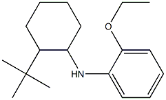 N-(2-tert-butylcyclohexyl)-2-ethoxyaniline 结构式