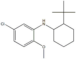 N-(2-tert-butylcyclohexyl)-5-chloro-2-methoxyaniline 结构式