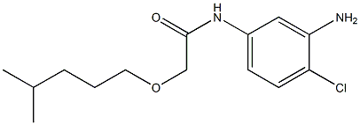 N-(3-amino-4-chlorophenyl)-2-[(4-methylpentyl)oxy]acetamide 结构式