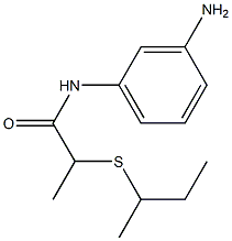 N-(3-aminophenyl)-2-(butan-2-ylsulfanyl)propanamide 结构式
