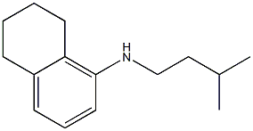 N-(3-methylbutyl)-5,6,7,8-tetrahydronaphthalen-1-amine 结构式