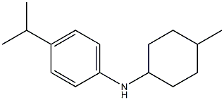 N-(4-methylcyclohexyl)-4-(propan-2-yl)aniline 结构式