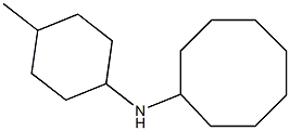 N-(4-methylcyclohexyl)cyclooctanamine 结构式