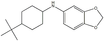 N-(4-tert-butylcyclohexyl)-2H-1,3-benzodioxol-5-amine 结构式