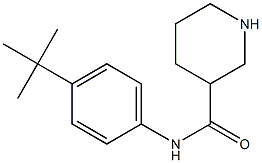 N-(4-tert-butylphenyl)piperidine-3-carboxamide 结构式