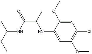 N-(butan-2-yl)-2-[(4-chloro-2,5-dimethoxyphenyl)amino]propanamide 结构式