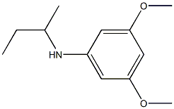 N-(butan-2-yl)-3,5-dimethoxyaniline 结构式