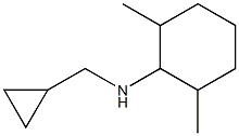 N-(cyclopropylmethyl)-2,6-dimethylcyclohexan-1-amine 结构式