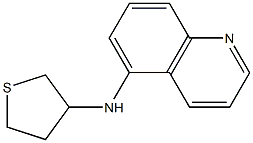 N-(thiolan-3-yl)quinolin-5-amine 结构式