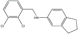 N-[(2,3-dichlorophenyl)methyl]-2,3-dihydro-1H-inden-5-amine 结构式