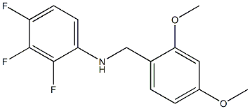 N-[(2,4-dimethoxyphenyl)methyl]-2,3,4-trifluoroaniline 结构式