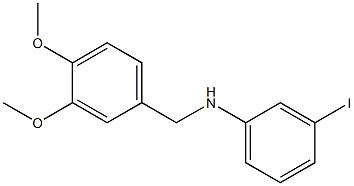 N-[(3,4-dimethoxyphenyl)methyl]-3-iodoaniline 结构式