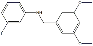 N-[(3,5-dimethoxyphenyl)methyl]-3-iodoaniline 结构式