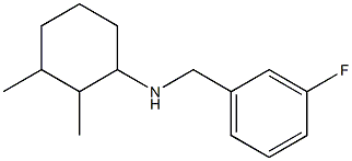 N-[(3-fluorophenyl)methyl]-2,3-dimethylcyclohexan-1-amine 结构式