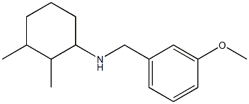 N-[(3-methoxyphenyl)methyl]-2,3-dimethylcyclohexan-1-amine 结构式