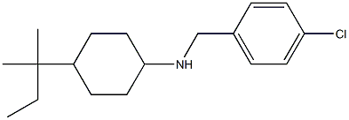 N-[(4-chlorophenyl)methyl]-4-(2-methylbutan-2-yl)cyclohexan-1-amine 结构式