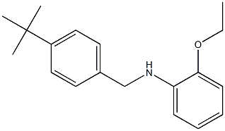 N-[(4-tert-butylphenyl)methyl]-2-ethoxyaniline 结构式