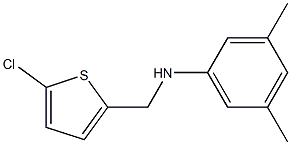 N-[(5-chlorothiophen-2-yl)methyl]-3,5-dimethylaniline 结构式